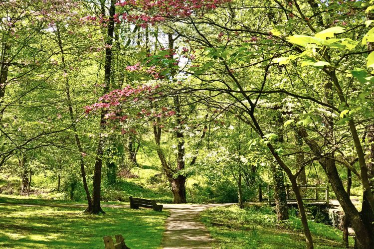 File:FairmountParkConservancy.jpg