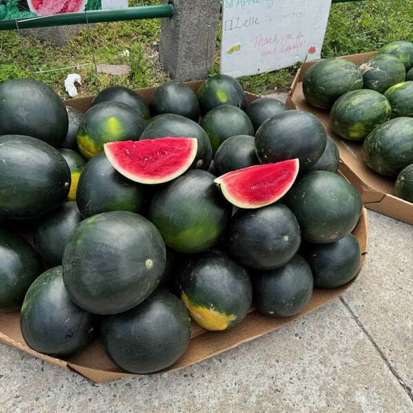 File:BlackFarmersCoop.jpg
