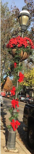 File:ChestnutHillGardenDistrictFund.jpg