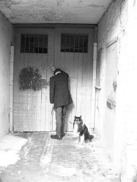 File:Dog Door,Dog Doors 2157.jpg