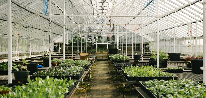 File:FarmerJawn.webp