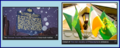 Thumbnail for version as of 01:59, 19 September 2026