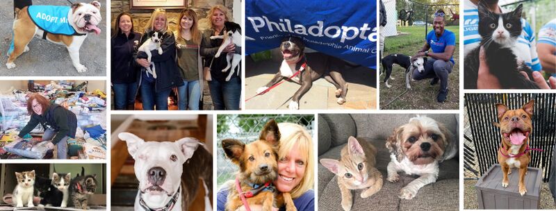 File:Philadoptables.jpg